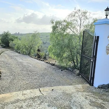 Mika 3*